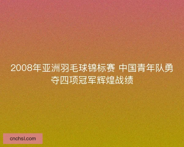 2008年亚洲羽毛球锦标赛 中国青年队勇夺四项冠军辉煌战绩