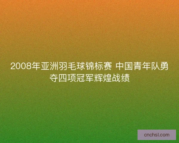 2008年亚洲羽毛球锦标赛 中国青年队勇夺四项冠军辉煌战绩